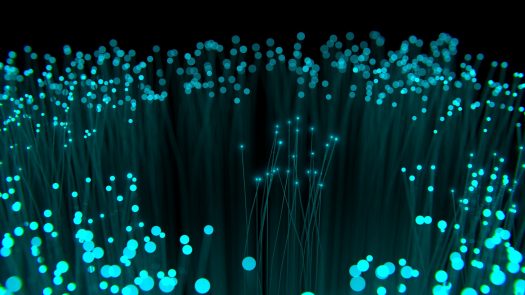Fibre