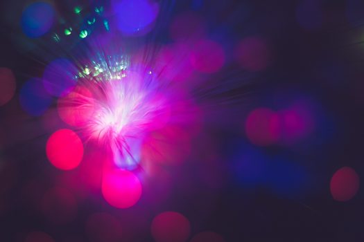 Fibre