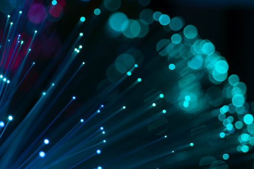 Fibre