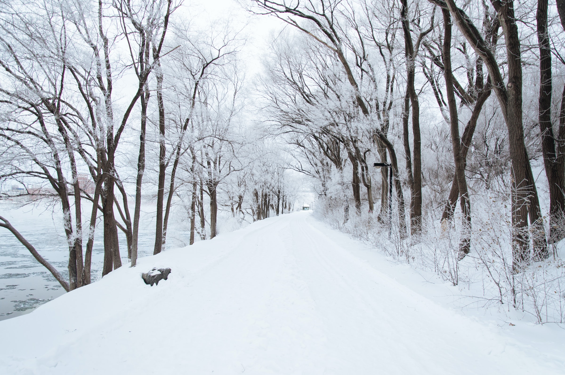 snowy lane