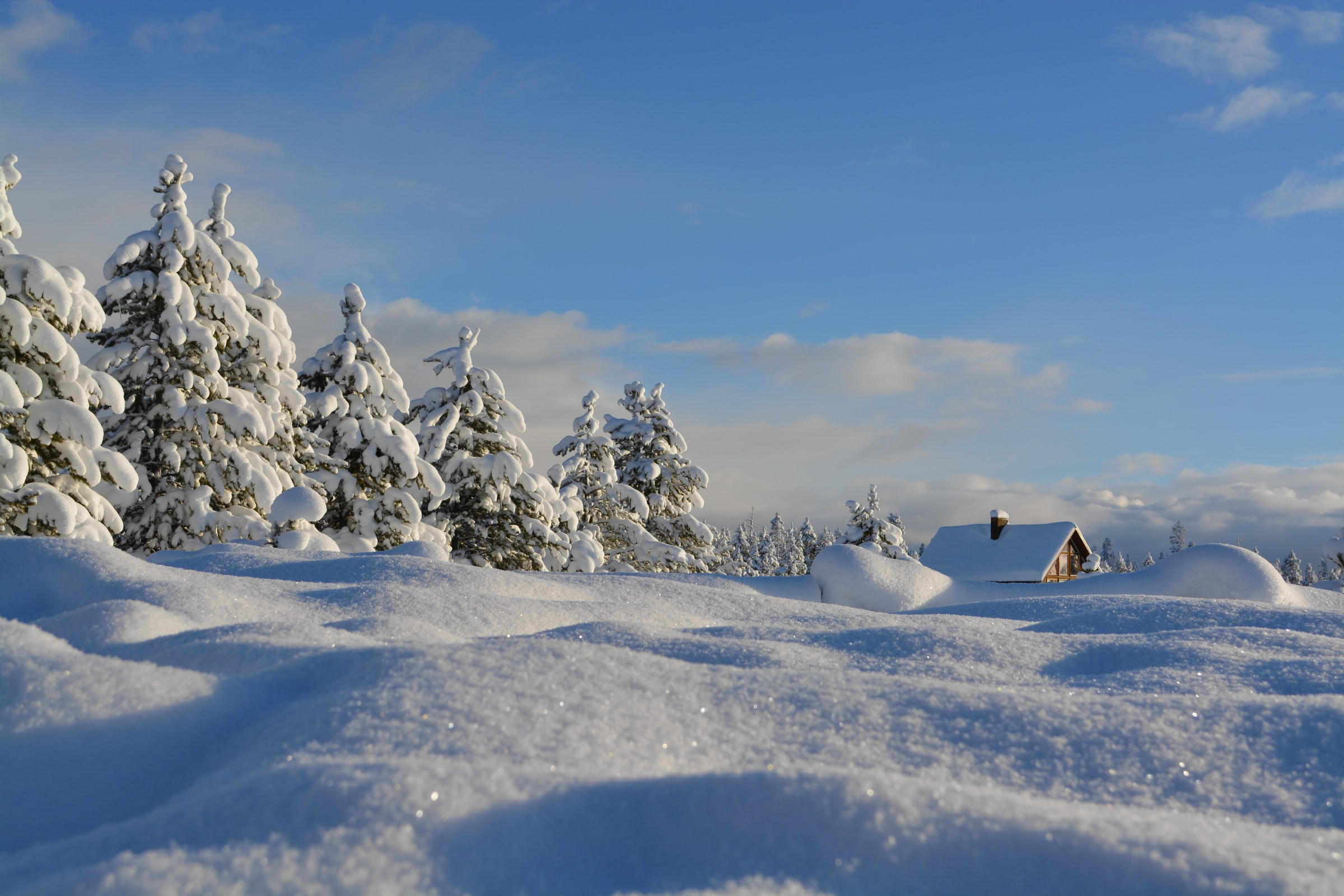 Winter