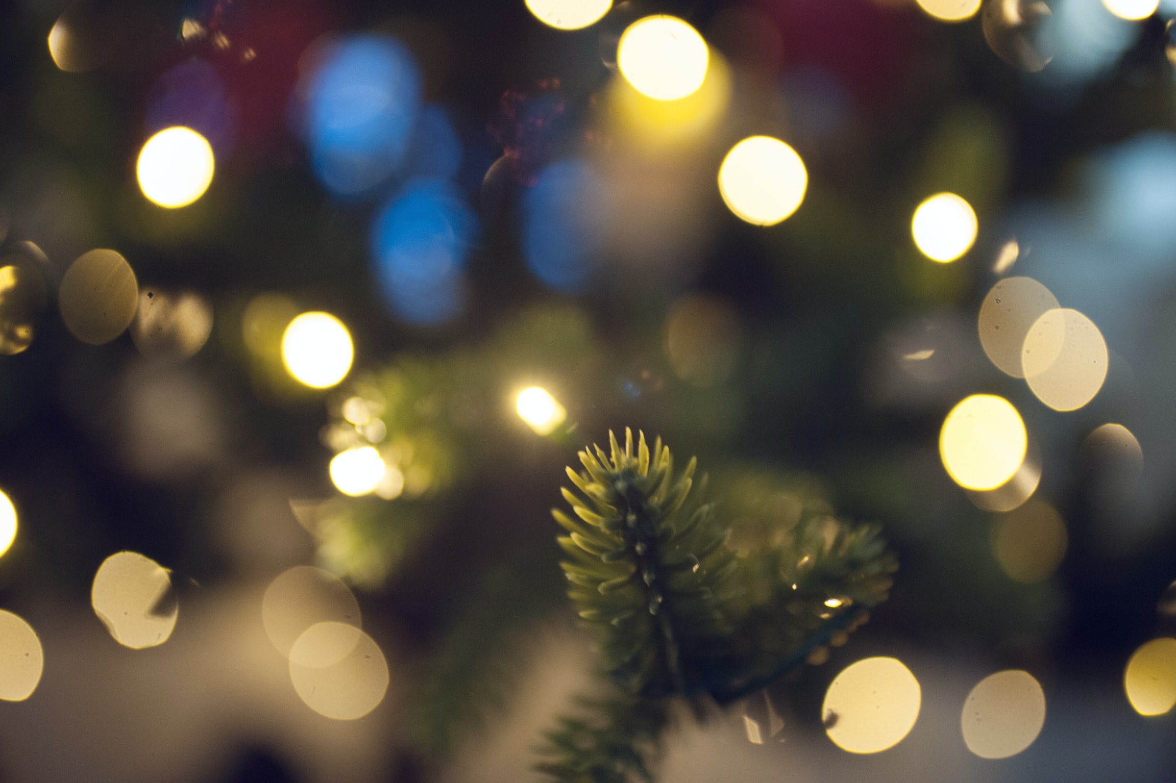 festive decorations
