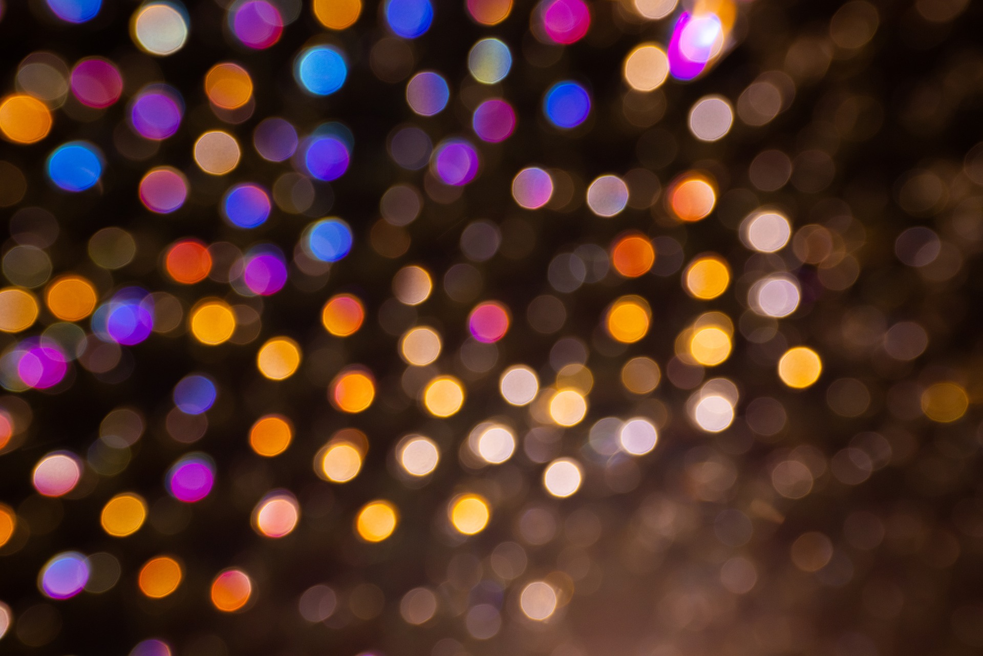 lights