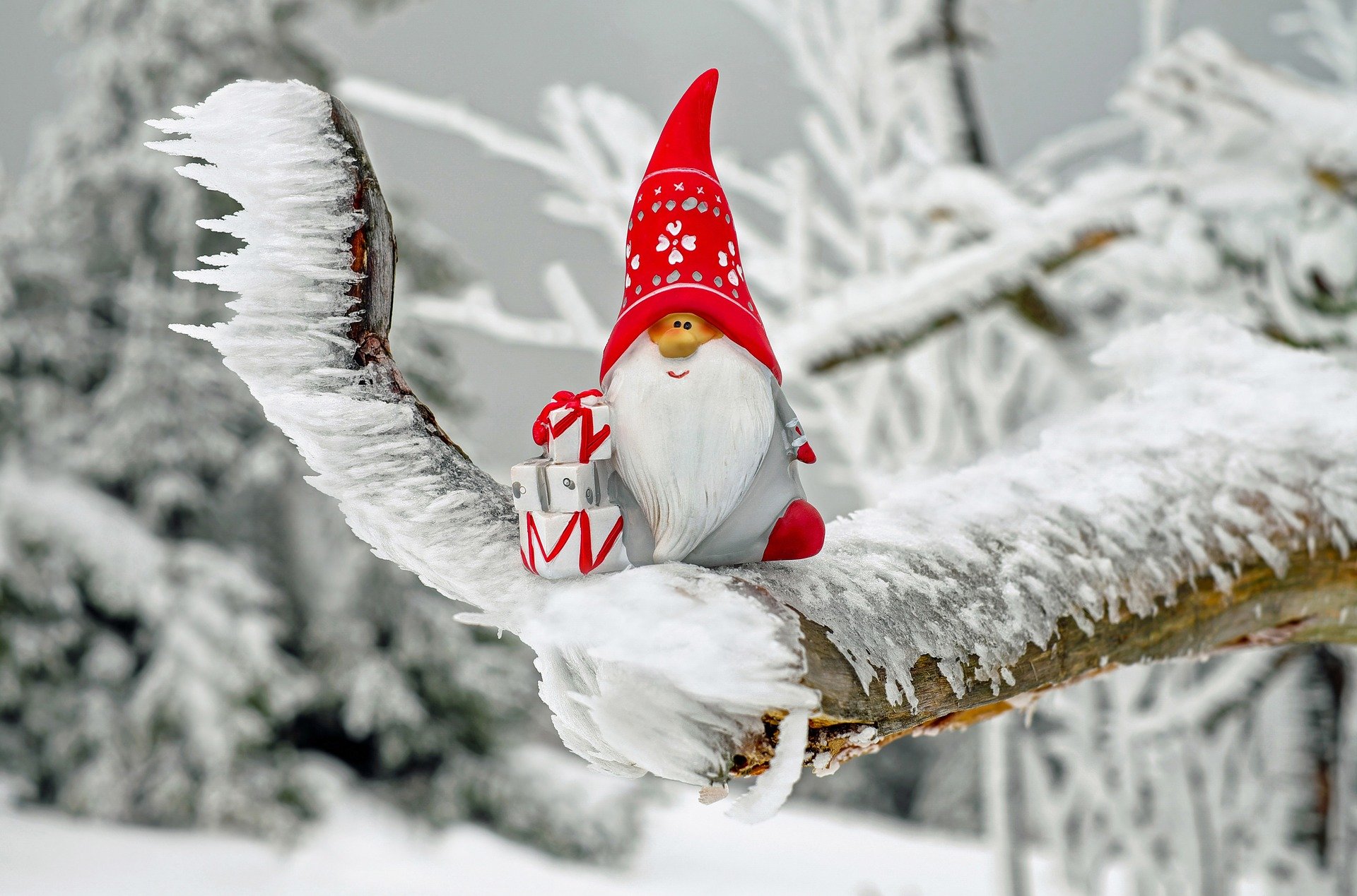 santa