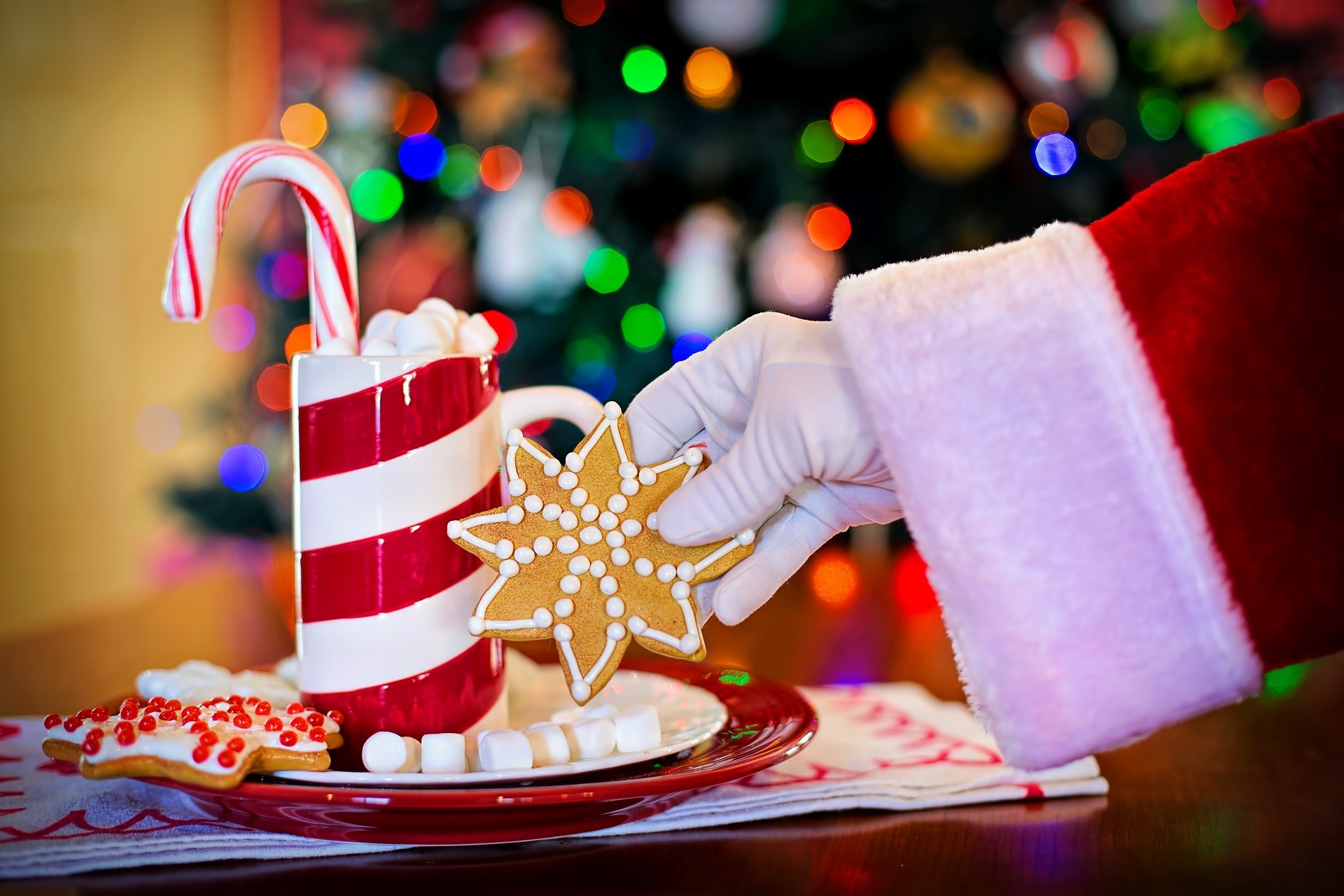 Santa